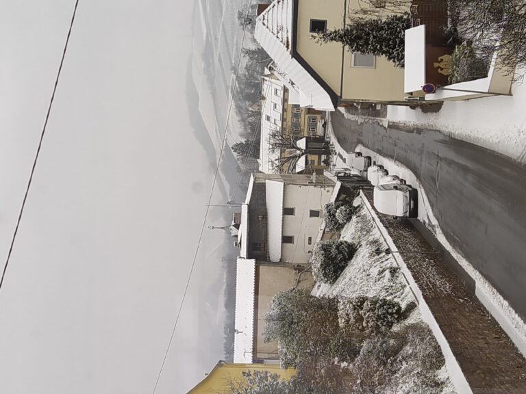 Winterstrafrecht